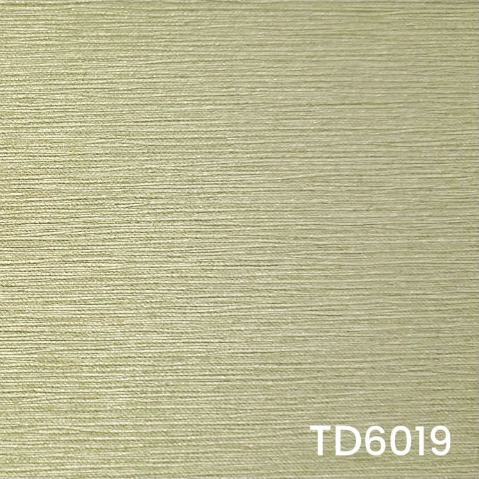 TD6019