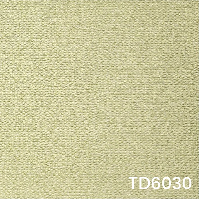 TD6030