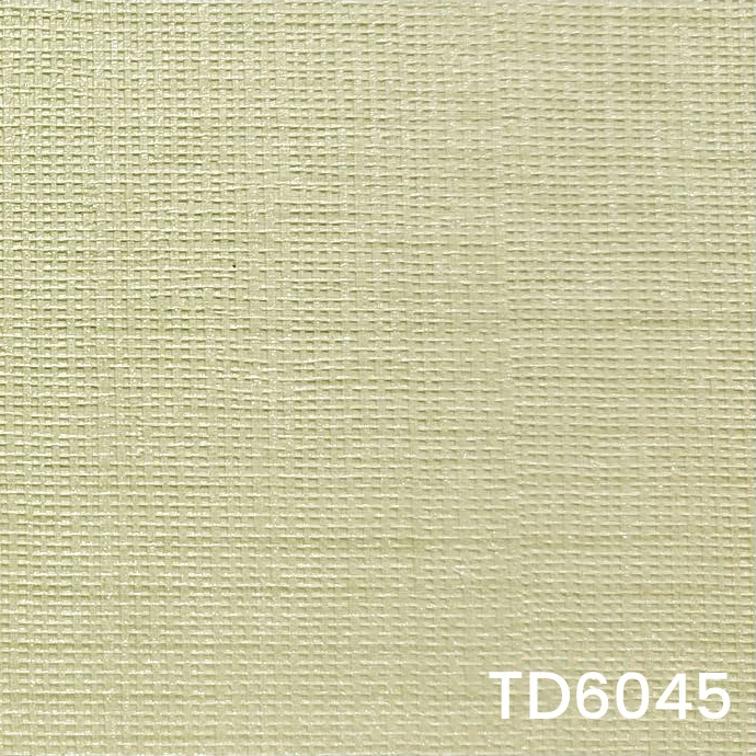 TD6045